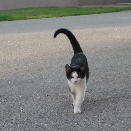 Casa de hóspedes Peterbauerhof