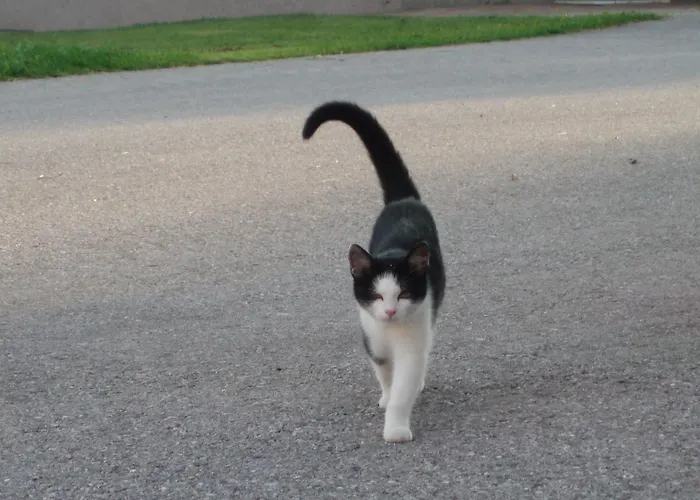 Pensjonat Peterbauerhof