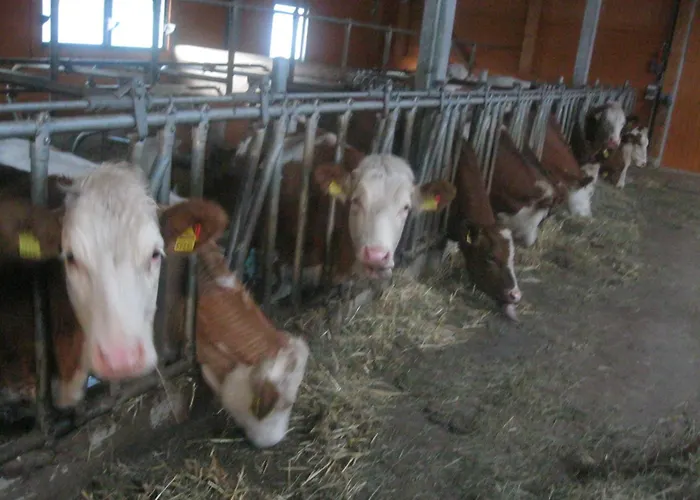 Peterbauerhof Pensjonat 3*